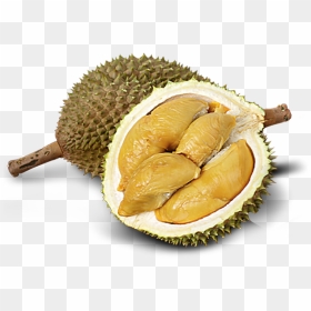 Transparent Background Durian Png, Png Download - durian png