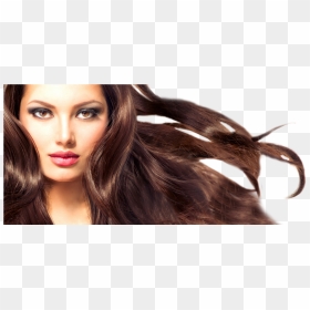 Created By A Stylist For Stylists - Long Blowing Hair, HD Png Download - hair stylist png