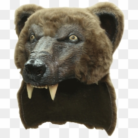 Bear Helmet, HD Png Download - mystique png