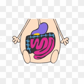 Cartoon Digestive System, HD Png Download - digestive system png