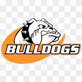Cedarburg High School Logo Mascot North Shore Conference - Cedarburg High School Logo, HD Png Download - bulldog logo png