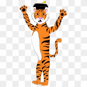 Tiger In Cap And Gown, HD Png Download - cap and gown png