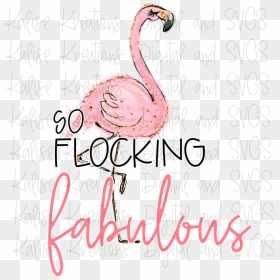 Greater Flamingo, HD Png Download - fabulous png