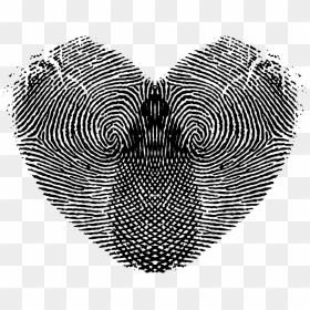 Free Png Fingerprint Png Png Image With Transparent, Png Download - fingerprint transparent png