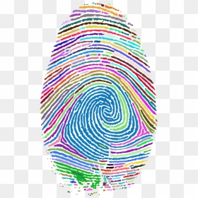 Fingerprint Clipart Green - Transparent Background Finger Print Png, Png Download - fingerprint transparent png