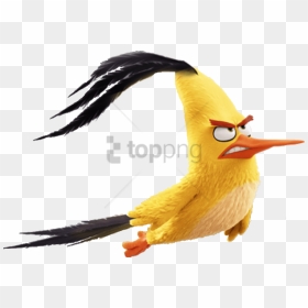 Free Png Angry Birds Movie Chuck Flying Png Image With - Angry Birds Chuck Flying, Transparent Png - angry bird png