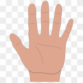 Hand Cartoon - Cliparts - Co - Cartoon Palm Of Hand, HD Png Download - cupped hands png
