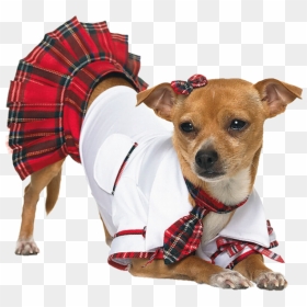 Transparent Funny Dog Png - Sexy Dog Halloween Costumes, Png Download - funny dog png