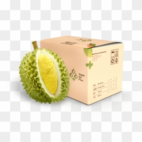 Box , Png Download - Durian Box, Transparent Png - durian png