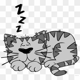 Cartoon Cat Animal Free Black White Clipart Images - Cat Sleeping Clipart, HD Png Download - cartoon animals png