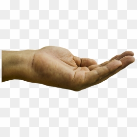 Hand Begging Png, Transparent Png - cupped hands png