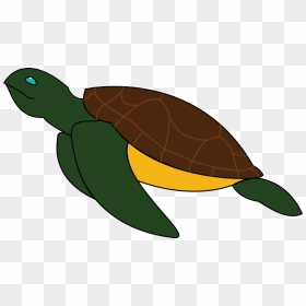 Transparent Sea Turtle Clipart Png - Sea Turtles Download Clipart, Png Download - turtle clipart png