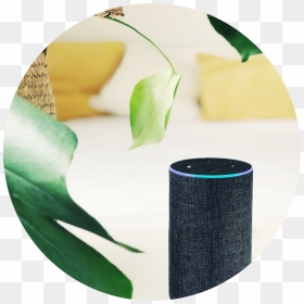 Amazon Echo, HD Png Download - amazon alexa png