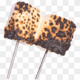 Burnt Marshmallows On Stick - Roasted Marshmallow On Stick, HD Png Download - marshmallows png