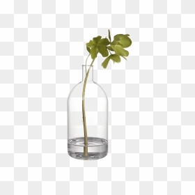 Empty Vase Png Image Background - Plant Glass Vase Png, Transparent Png - empty bottle png