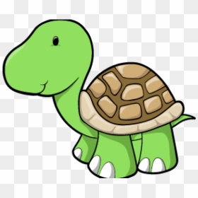 Baby Turtle Clipart - Baby Turtle Cartoon Png, Transparent Png - turtle clipart png