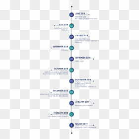 Etapas Hasta Llegar Al Doctorado, HD Png Download - roadmap png