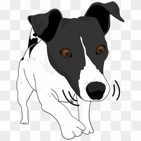 Dog, HD Png Download - funny dog png