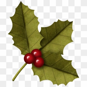 Leaves Clipart Christmas - Clipart Of Christmas Leaves Png, Transparent Png - christmas leaves png
