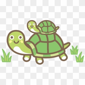 Turtle Animal Clipart - Turtles, HD Png Download - turtle clipart png