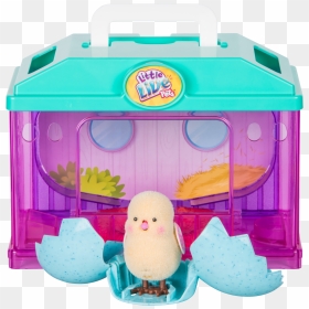 Llp Baby Chick House S - Little Live Pets, HD Png Download - baby chick png