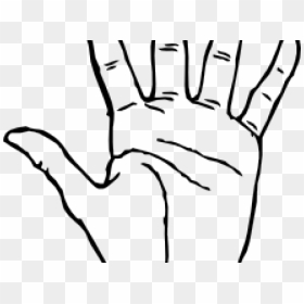 Fingers Clipart Back Hand - Hand Clip Art, HD Png Download - back of hand png