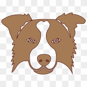 Brown Border Collie Icon Transparent, HD Png Download - funny dog png