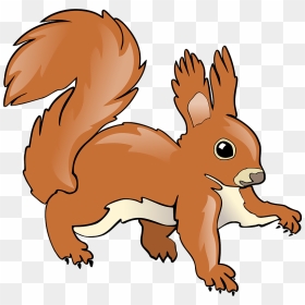 Squirrel Clipart - Red Squirrel Clipart, HD Png Download - squirrel clipart png