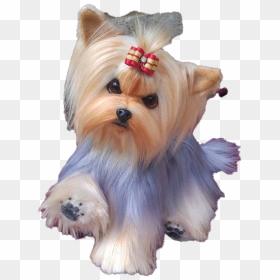 Yorkshire Terrier Puppy Png Clipart - Yorkie Terrier, Transparent Png - puppy clipart png