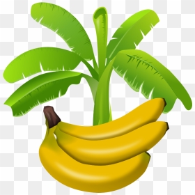 Colourful Banana Plant With Fruits Below Graphics - Planta De Banano Vector, HD Png Download - banana tree png