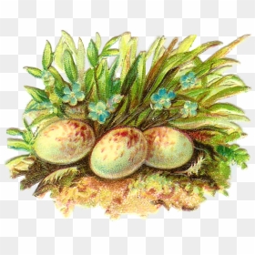 Easter Egg, HD Png Download - easter eggs in grass png