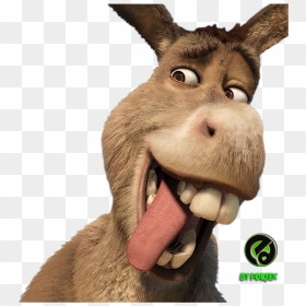 Smiling Donkey Shrek - Donkey Shrek, HD Png Download - donkey shrek png
