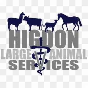 Hlas Logo Mane - Mane, HD Png Download - baltimore ravens png