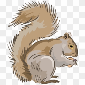 Indian Clipart Squirrel, Indian Squirrel Transparent - Free Clip Art Squirrel, HD Png Download - squirrel clipart png