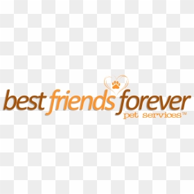 Best Friends Forever Logo - Friendship Best Text Png, Transparent Png - best friends png