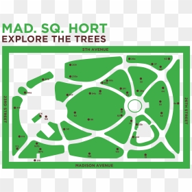 Madison Square Park Map, HD Png Download - trees in plan png