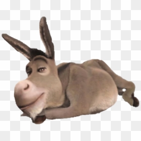 #donkey #shrek - Donkey From Shrek Png Transparent, Png Download - donkey shrek png