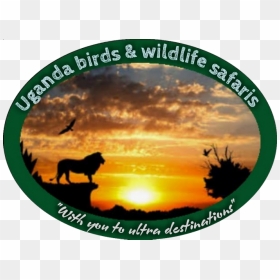 Lion Sunset, HD Png Download - open book silhouette png