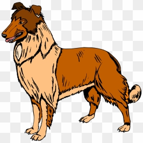 Collie Clipart Real Dog - Dog Clipart, HD Png Download - funny dog png
