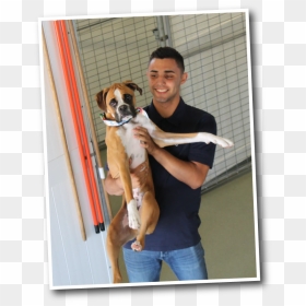 Funny Faces Dog Kennel Staff In Fresno - Boxer, HD Png Download - funny dog png