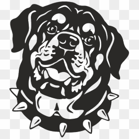 Rottweiler Bulldog Drawing Clip Art - Rottweiler Vector, HD Png Download - rottweiler png