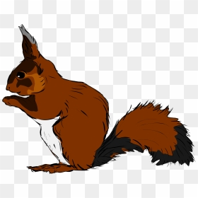 Clipart Squirrel Love - Woodland Animals Flashcards, HD Png Download - squirrel clipart png