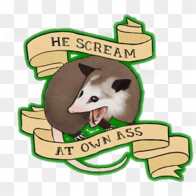 Iphone , Png Download - He Scream At Own Ass, Transparent Png - possum png