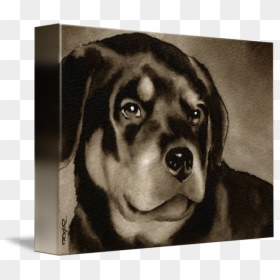 Thumb Image - Rottweiler, HD Png Download - rottweiler png