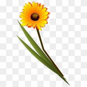 Transparent Daisy Flower Clipart - Flower Clip Art, HD Png Download - single flower png