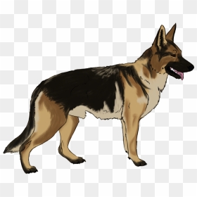 Transparent Funny Dog Png - German Shepherd Dog Clipart, Png Download - funny dog png