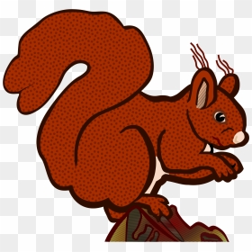 Red Squirrel Clipart Colour - Eichhoernchen Clipart, HD Png Download - squirrel clipart png