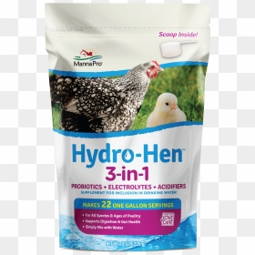 Hydro Hen 3 In 1 Water Supplement 8oz - Hydro Hen, HD Png Download - baby chick png