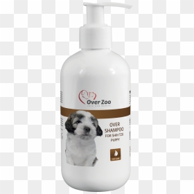Over Shampoo For Shih Tzu Puppy - Shampoo For Shih Tzu, HD Png Download - shih tzu png