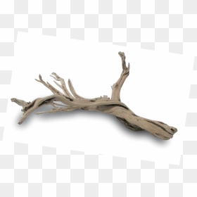 Transparent Driftwood Branches, HD Png Download - driftwood png
